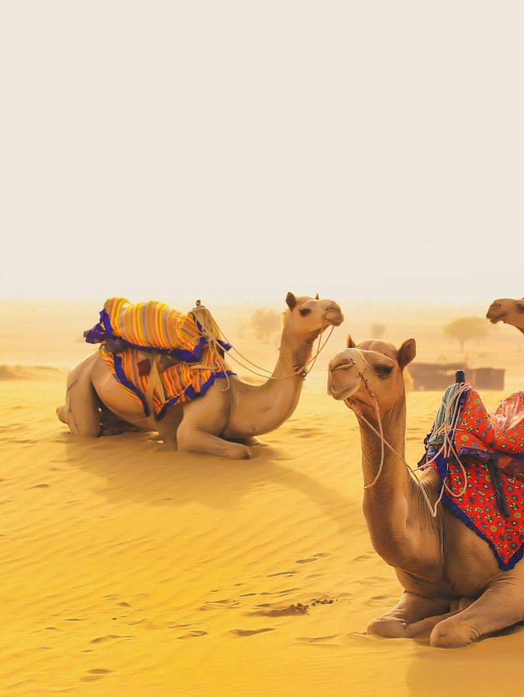 Jaisalmer